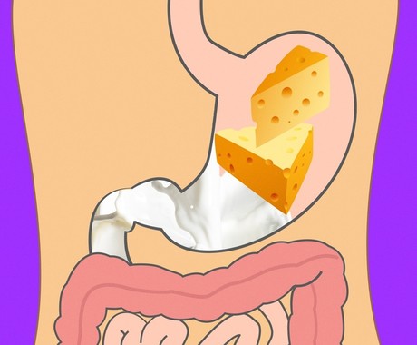 optimal food culture for-continuous health,زمان هزم لبنیات